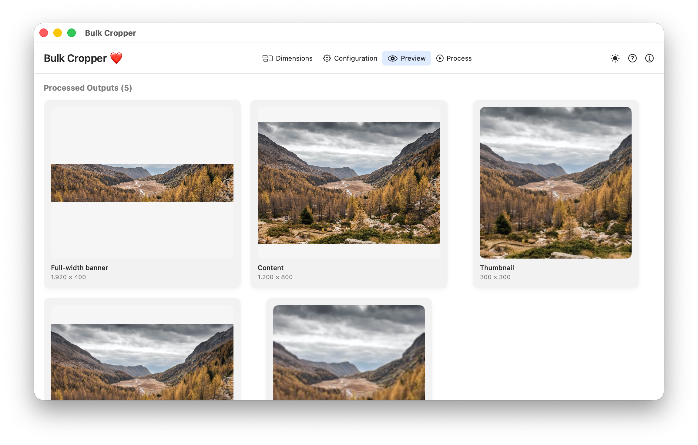 Bulkcropper preview interface